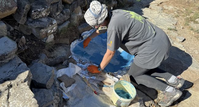 Proceso de realización de moldes de silicona de algunos de los huesos de pterosaurio y huellas de dinosaurio del yacimiento “El Pozo” en El Castellar (Gúdar-Javalambre, Aragón, Europa) | Foto: Fundación Dinópolis