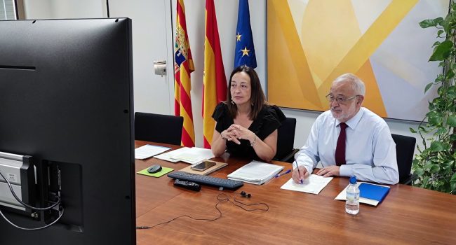 La consejera de Bienestar Social y Familia del Gobierno de Aragón, Carmen Susín, en una reunión telemática | Foto: DGA