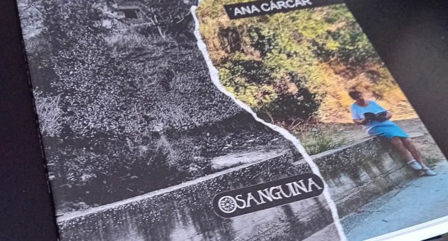 "La peña fue testigo", la novela de Ana Cárcar Irujo.
