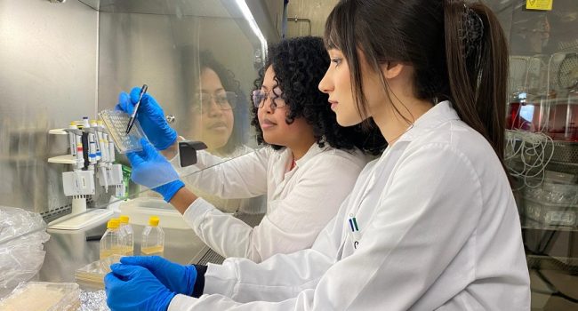 Descubierto un potencial nuevo antibiótico contra la tuberculosis