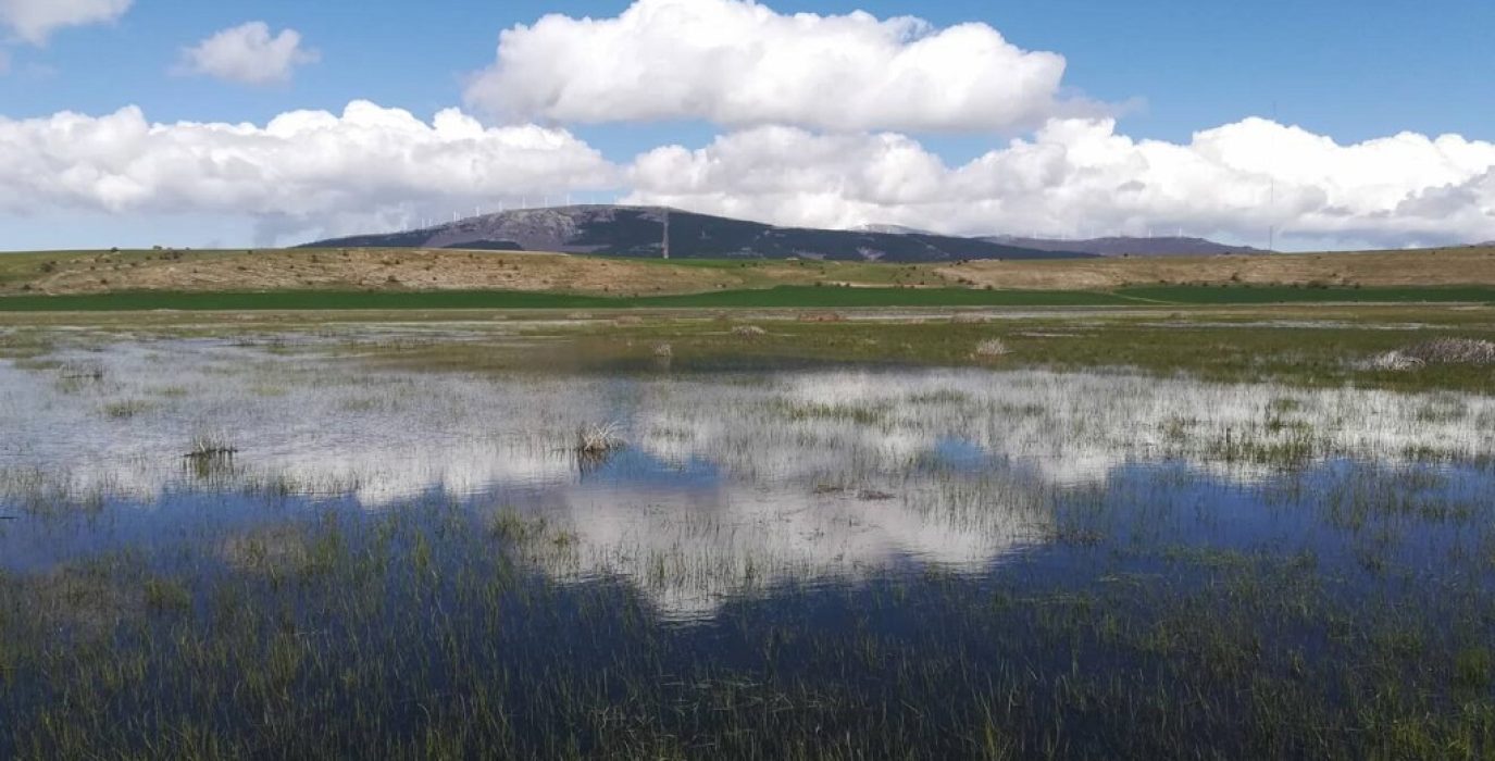 Laguna kárstica en zona de influencia de la macrovaquería de Novierquas | Foto: Ecologistas en Acción Aragón