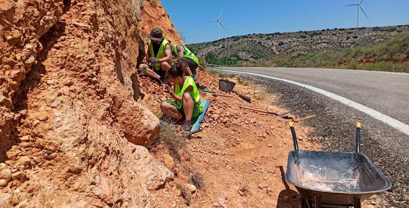 Especialistas analizando huesos de dinosaurios en un yacimiento