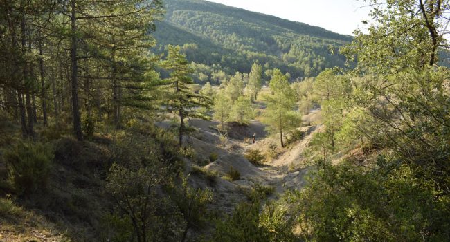 Las pesquisas han conducido al espacio triangular que forman la antigua carretera de Gerbe a Arro, el antiguo camino Gerbe-Griébal y el Barranco de La Nata | Foto: Ayuntamiento L'Aínsa