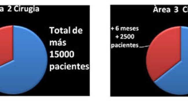 Lista de Espera Quirúrgica MAREA BLANCA
