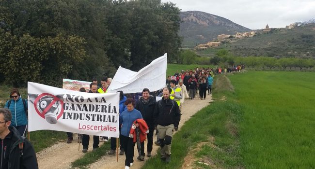 Decenas de personas en la caminata. Foto: Podemos