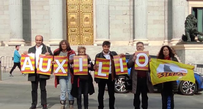 Representantes de STEPA han pedido auxilio ante las puertas del Congreso en Madrid | Foto: STEPA
