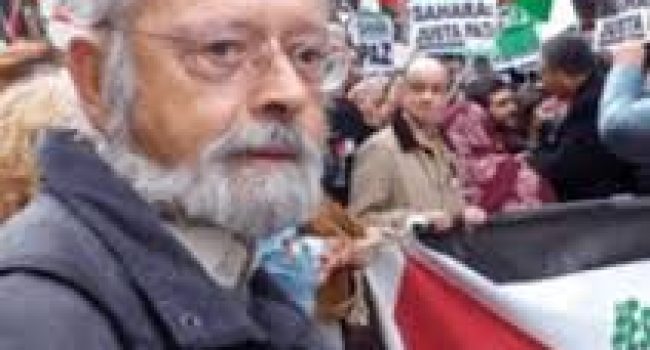 Luis Portillo perfil