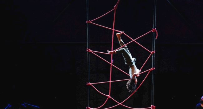 circo