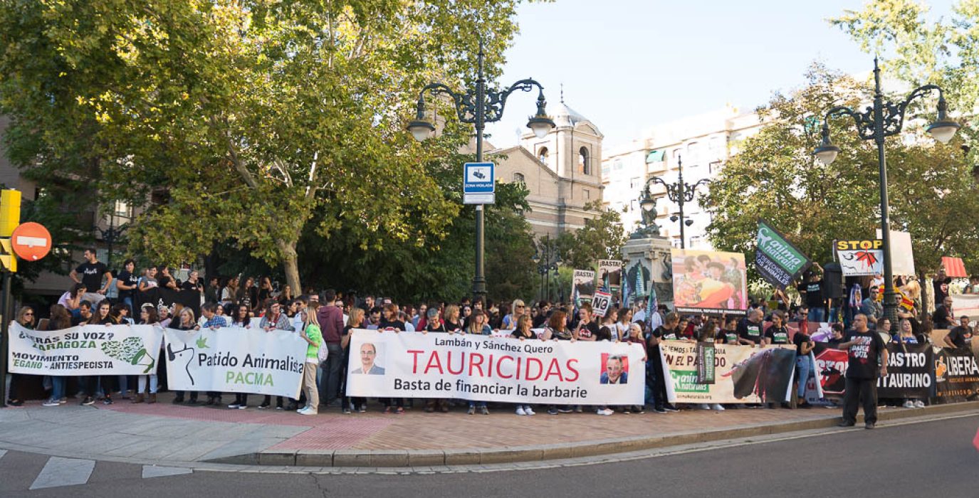 Foto: Pablo Ibáñez (AraInfo)