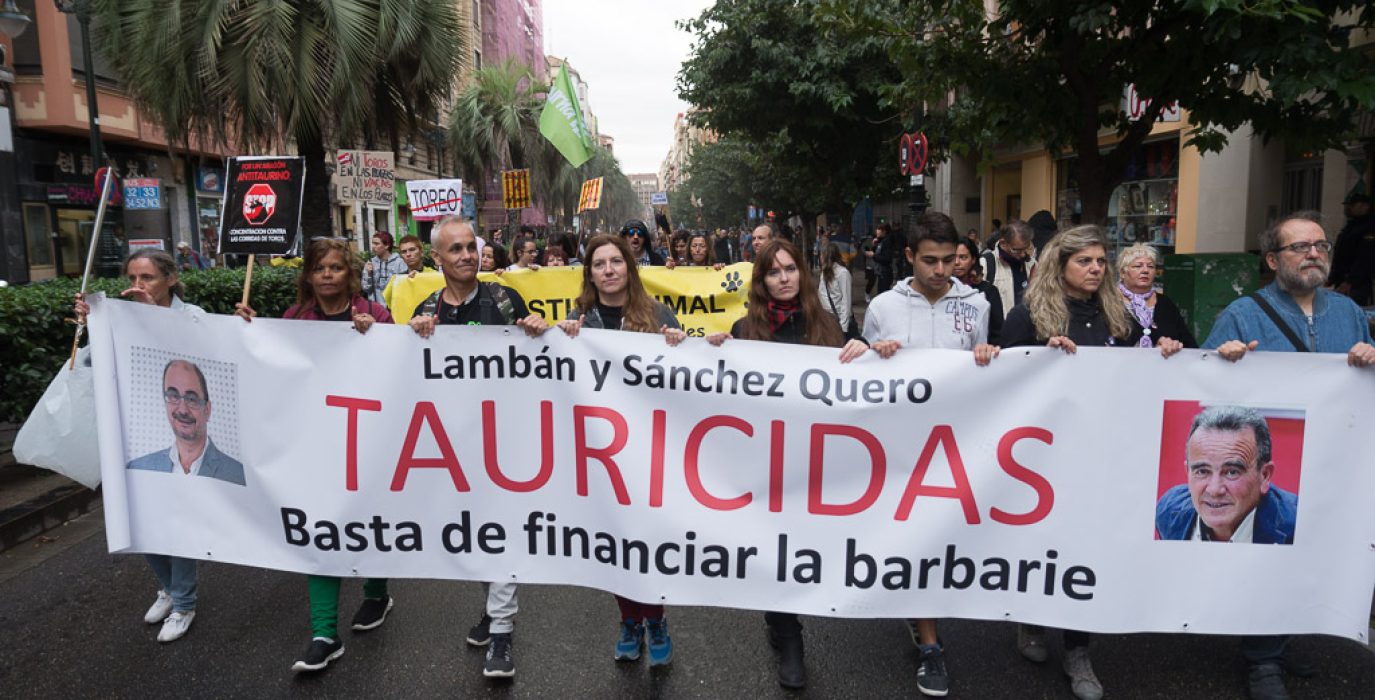 Foto: Pablo Ibáñez.