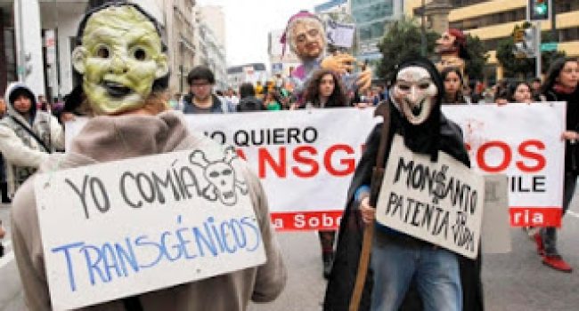Manifestación contra Monsanto en Valparaíso (Chile)
