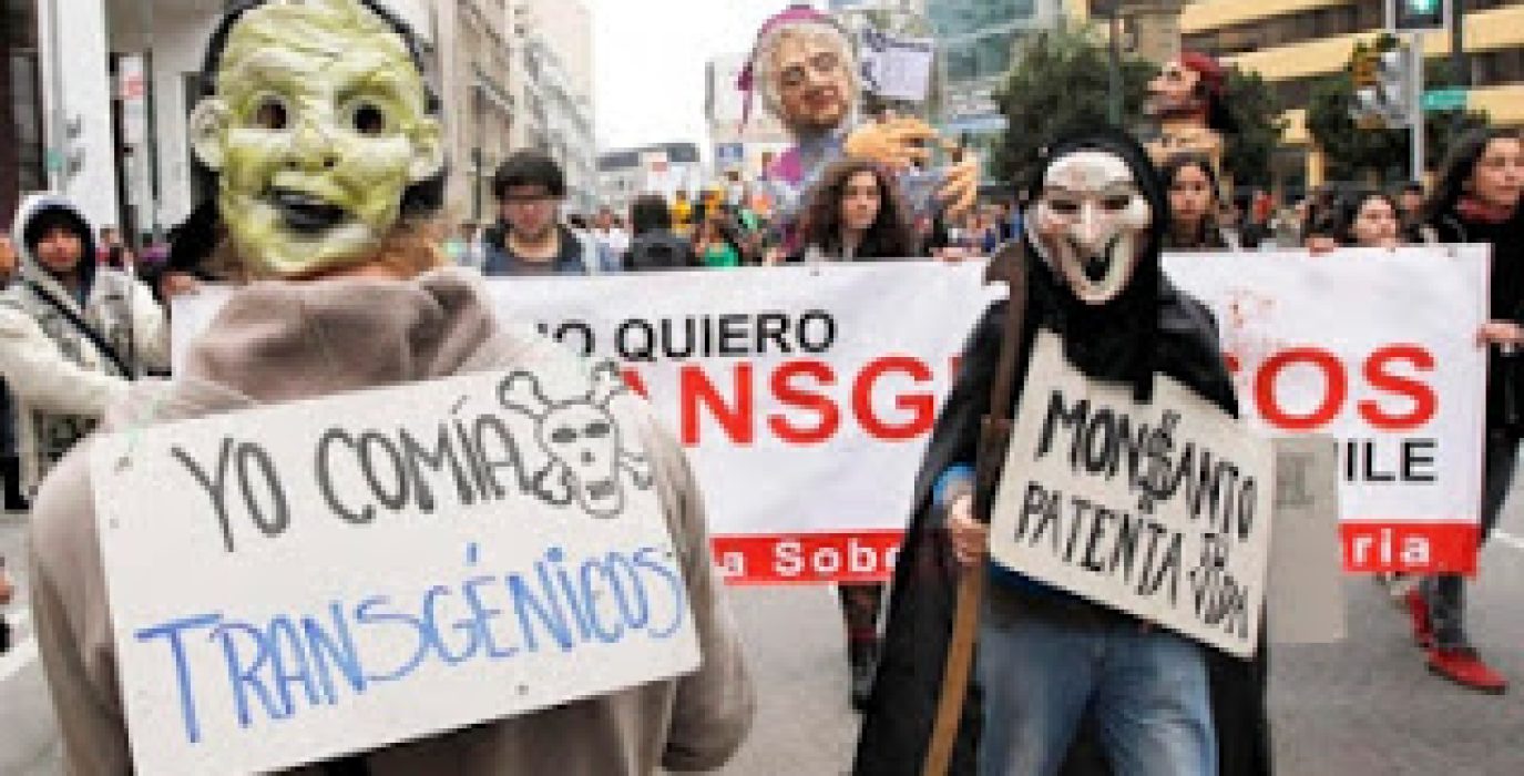 Manifestación contra Monsanto en Valparaíso (Chile)