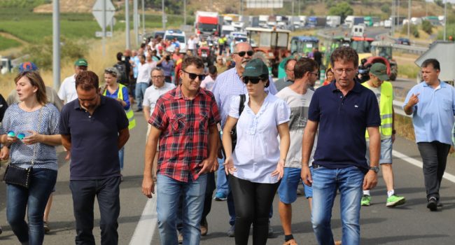 Imagen de la marcha. Foto: Ayuntamiento de Mequinensa
