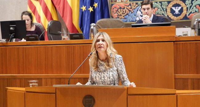 Ley de Medidas Urgentes de Energía de Aragón: “Una ley al servicio de grandes multinacionales”