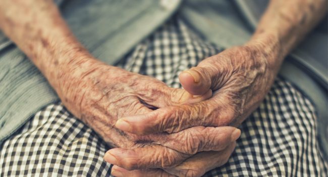 Foto: Cristian Newman (Unsplash)