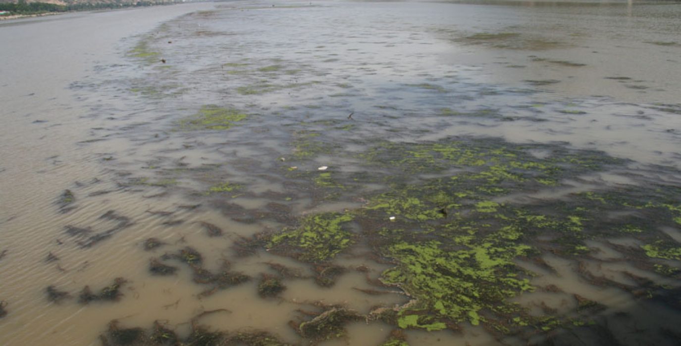 Mequinensa descenso de nivel de agua embalsada en Riba-roja