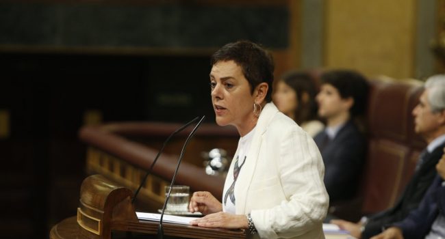 Mertxe Aizpurua. Foto: Congreso