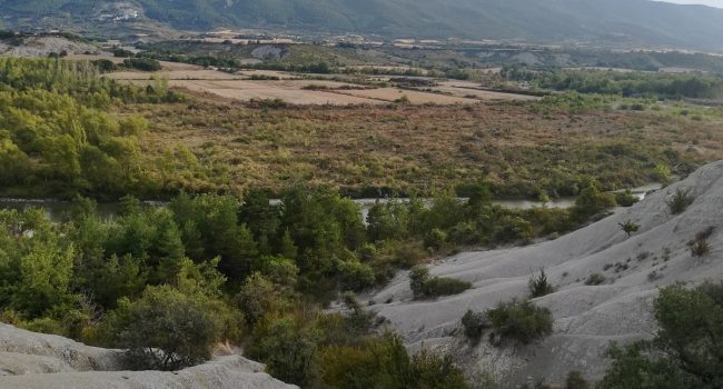 Mianos deforestación de la CHE en red Natura 2000 en el río Aragón Yesa No AraInfo 1
