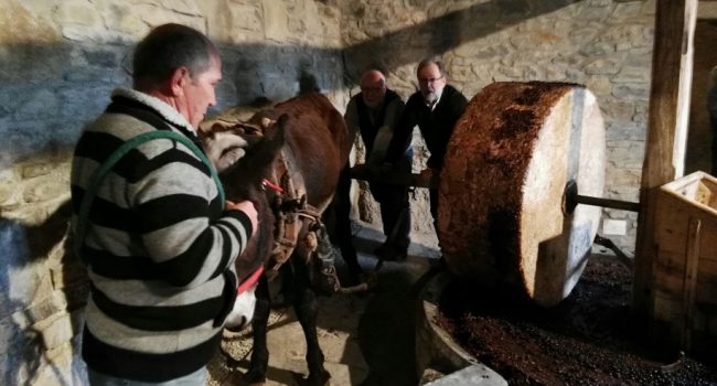 Molienda de aceite en Troncedo: recuperar el patrimonio para disfrute popular