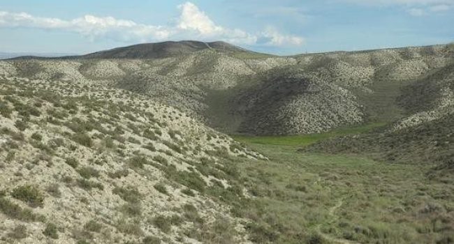 Foto: Amigos de la Tierra Aragón