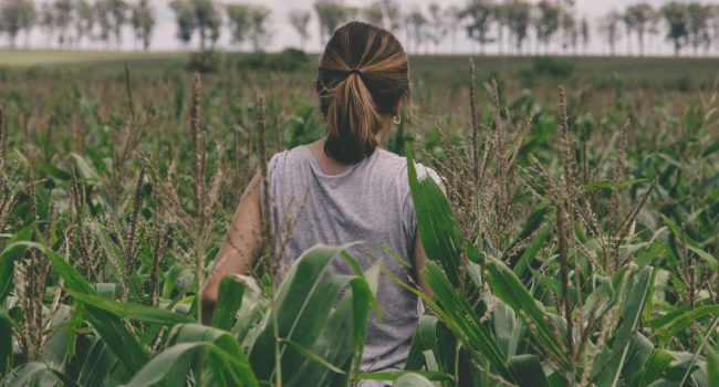 Foto: Gonzalo Facello (Unsplash)