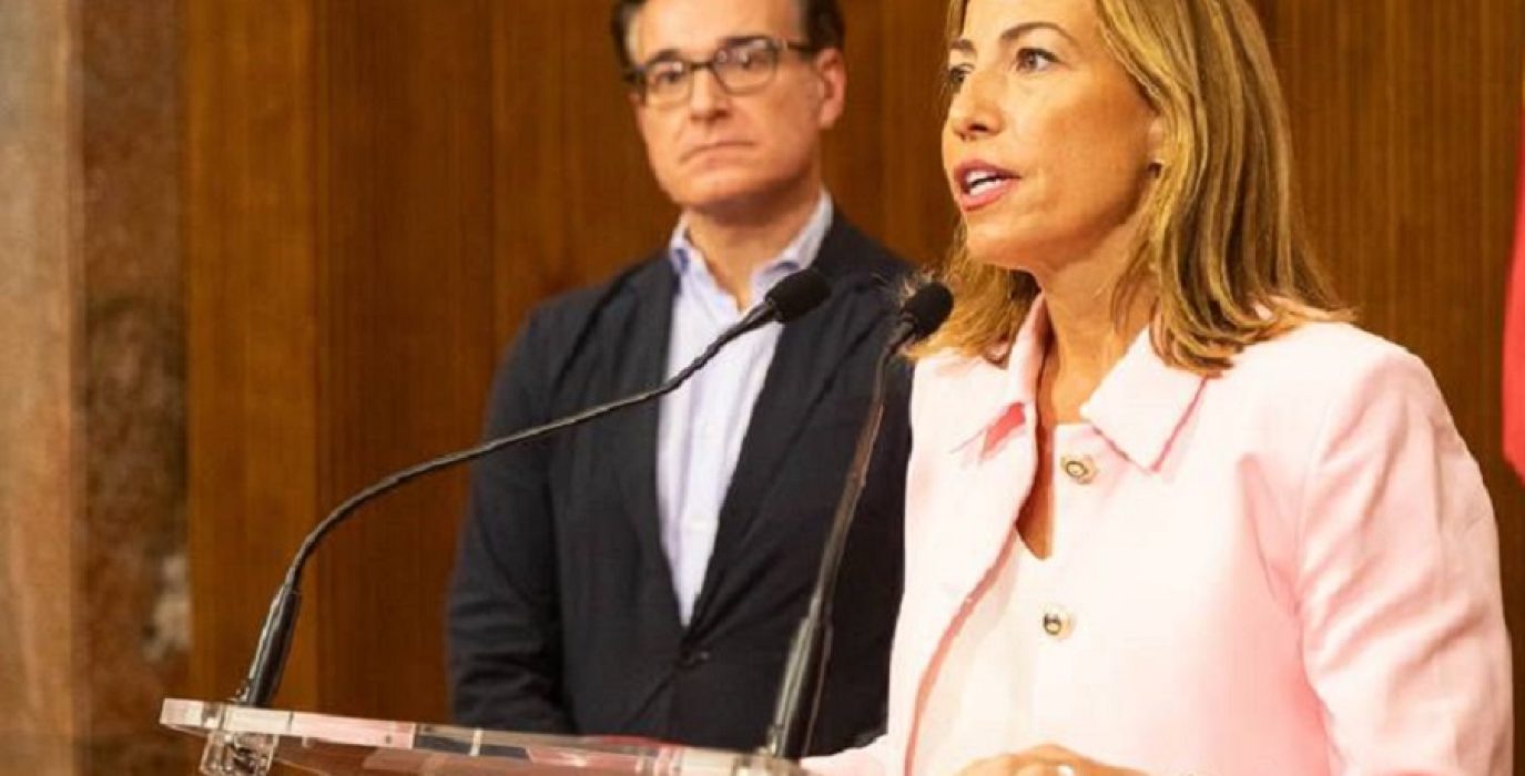 Chueca y Serrano contra el TSJA: aseguran que el Outlet de Pikolín Torrevillage “no corre peligro”