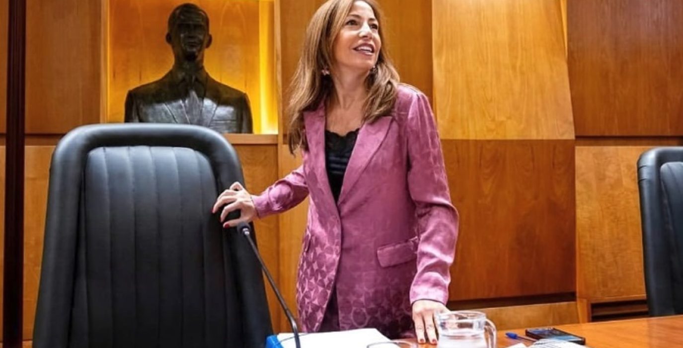 Natalia Chueca durante un pleno municipal | Foto: Miguel G. García