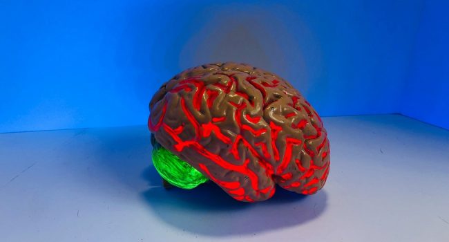 Exigen a la DGA “medidas urgentes" para reducir las demoras en neurocirugía