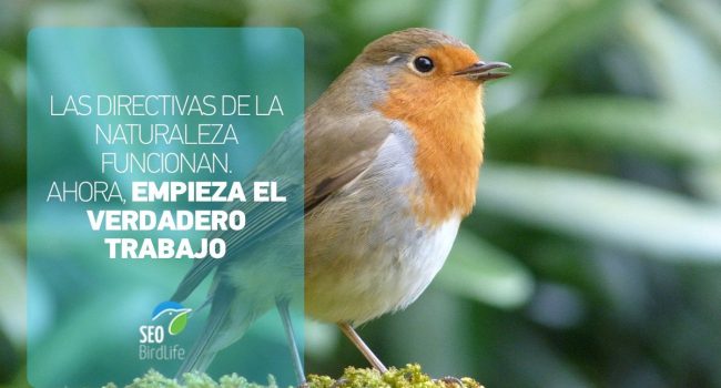 NatureAlert
