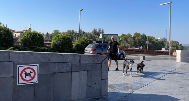 corredores de paso para las mascotas