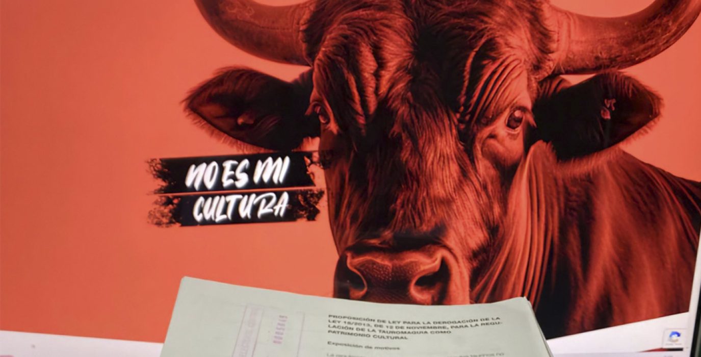 Imagen de la iniciativa "No es mi cultura".