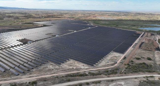 Parque Sedeis de Forestalia en el Nudo Mudéjar | Foto: DGA