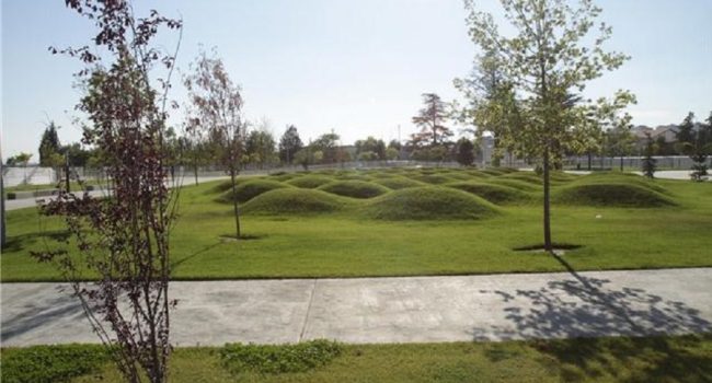 Nuevo 'bosque' de las olas | Foto: Concello de Uesca