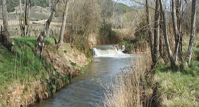 O Xiloca, en Sant Martín d’el Rio. Foto: D.Ch.A.