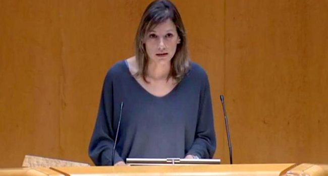 La senadora de Teruel Existe, Beatriz Martín, durante su intervención en el Senado.