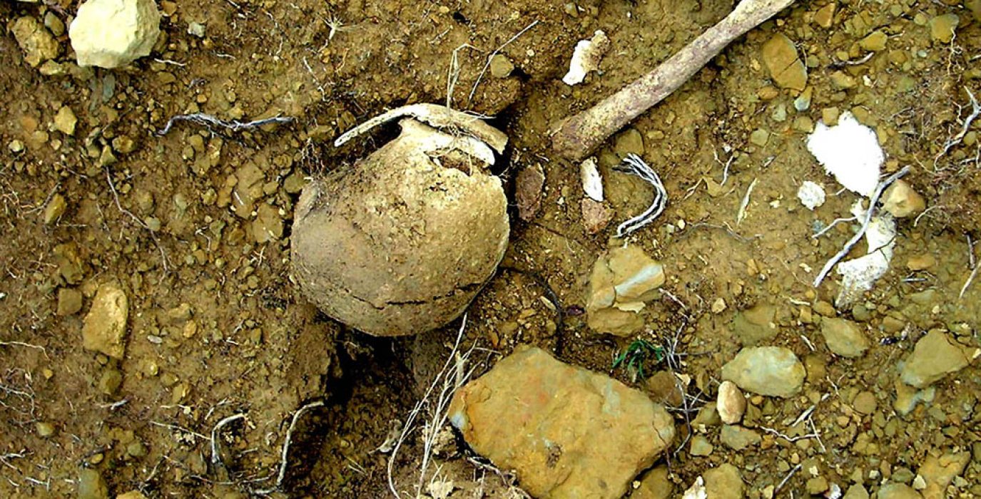 Restos encontrados en Orés. Foto: Apudepa