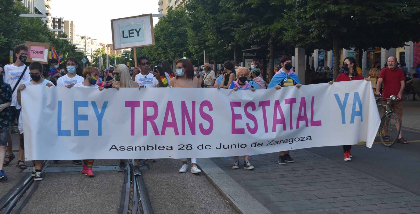 pancarta del orgullo de 2021 en el que pone ley trans estatal ya por los derechos