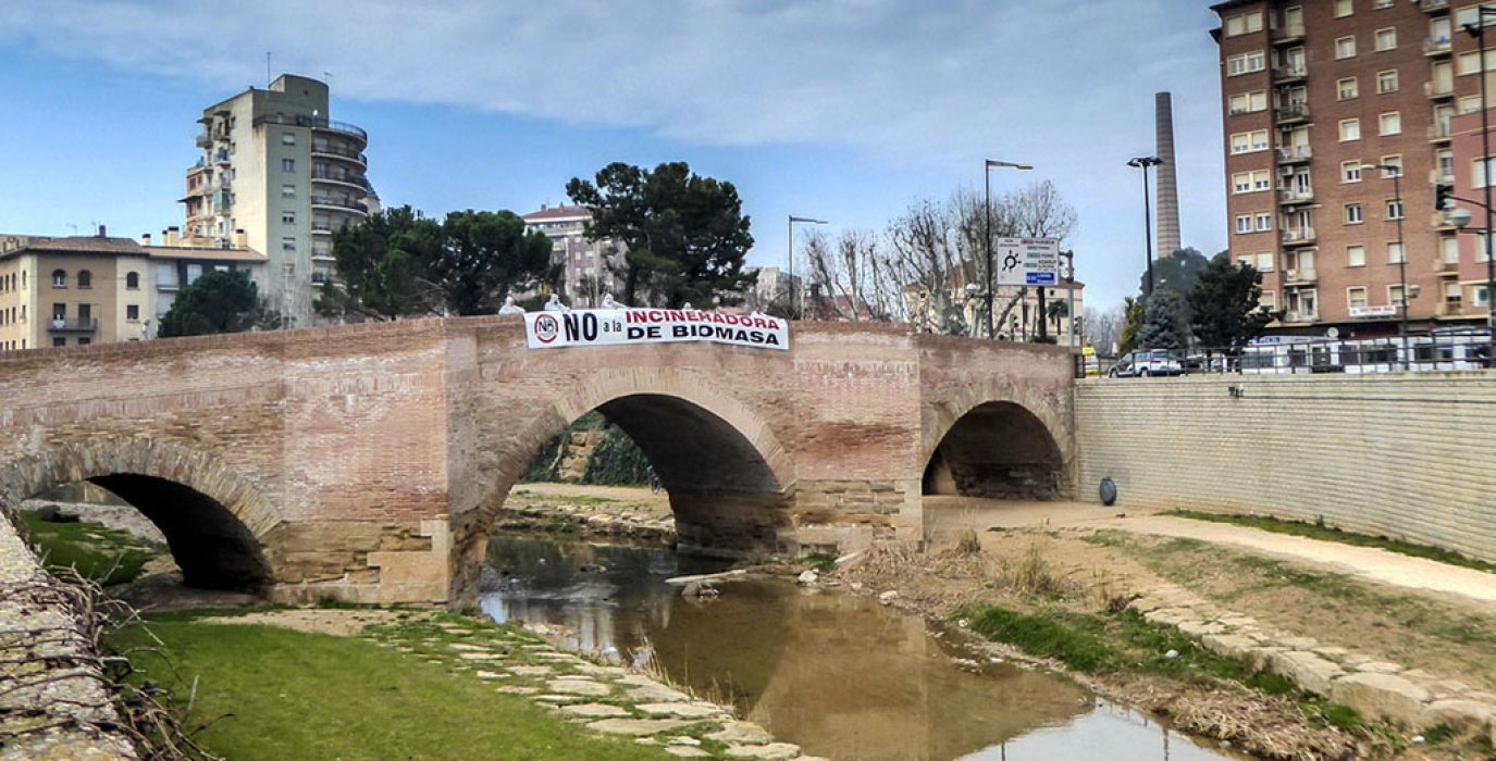 Monzón biomasa
