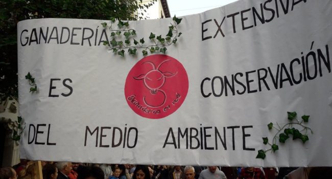 Foto: @WWFGuadalajara