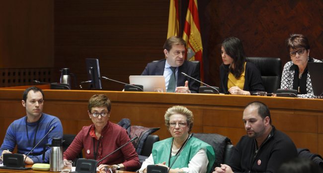 Comparecencia de la PAH en las Cortes. Foto: Cortes