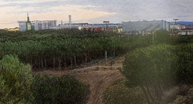 Pinares de Venecia. Dibujo de Ignacio Mayayo.