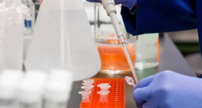 coronavirus PCR