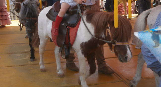 Imagen de un carrusel de ponis.