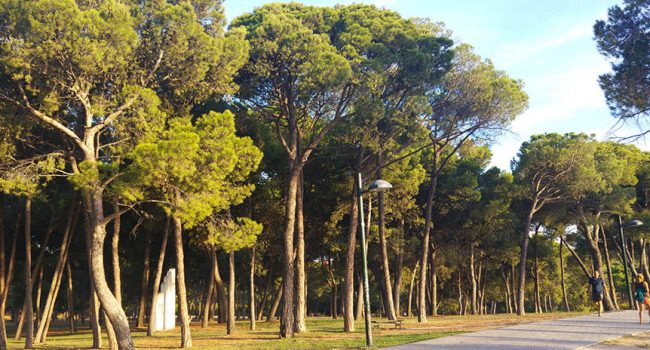 Parque José Antonio Labordeta de Zaragoza. Foto: @igoiz17 (AraInfo)