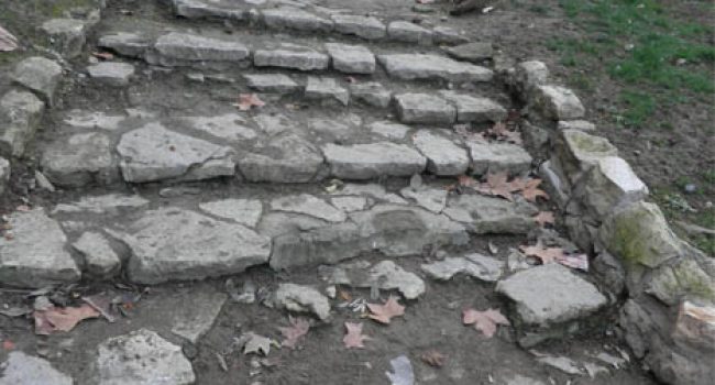 La auditoría ciudadana elaborada por la militancia de IU Zaragoza desvela “un pésimo estado de las zonas verdes, bancos y arbolado” de este parque ubicado en un barrio “muy densamente poblado y con gran necesidad de espacios comunes al aire libre”. El jueves el Observatorio de la Contratación del Ayuntamiento de Zaragoza abordará la situación de los parques de Zaragoza. Foto: IU