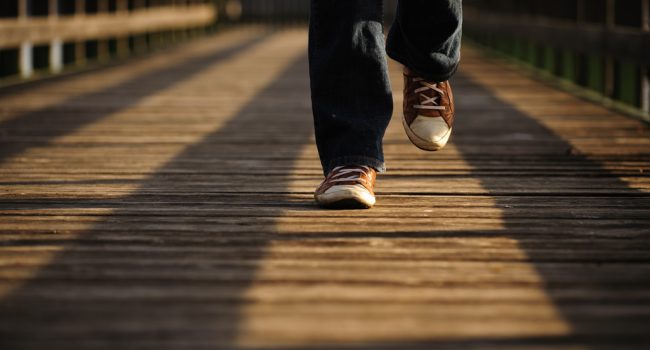 Foto: Frank Busch (Unsplash)