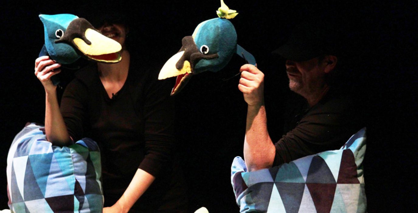 Pato feo ya cisne