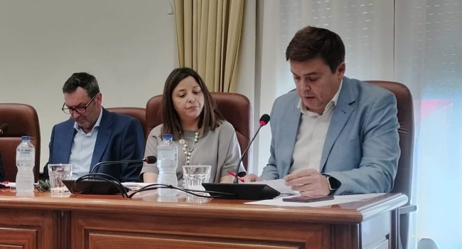 Pedro Polo, portavoz del PSOE en la DPT, en un pleno.