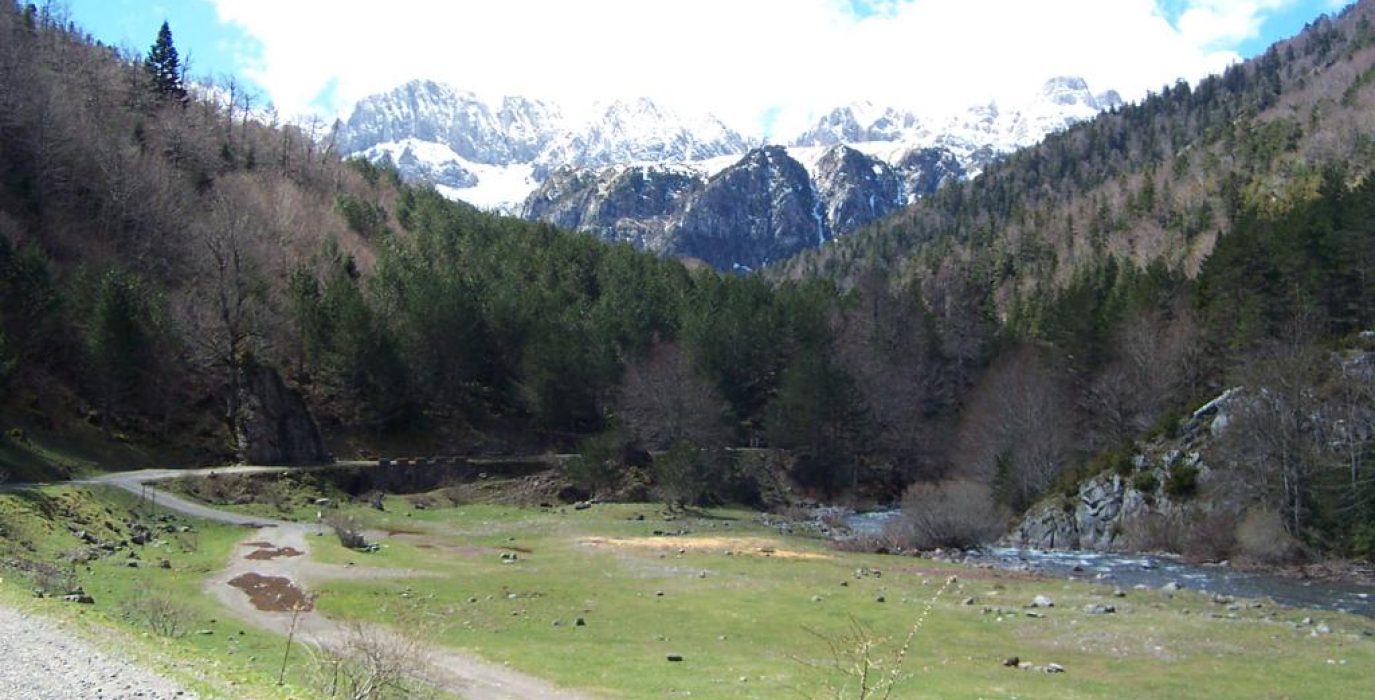 Pirineo_Selva_de_Oza_2