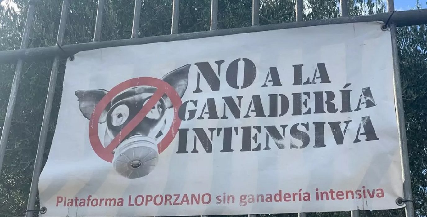 Plataforma Loporzano Sin Ganadería Intensiva- Loporzano Vivo